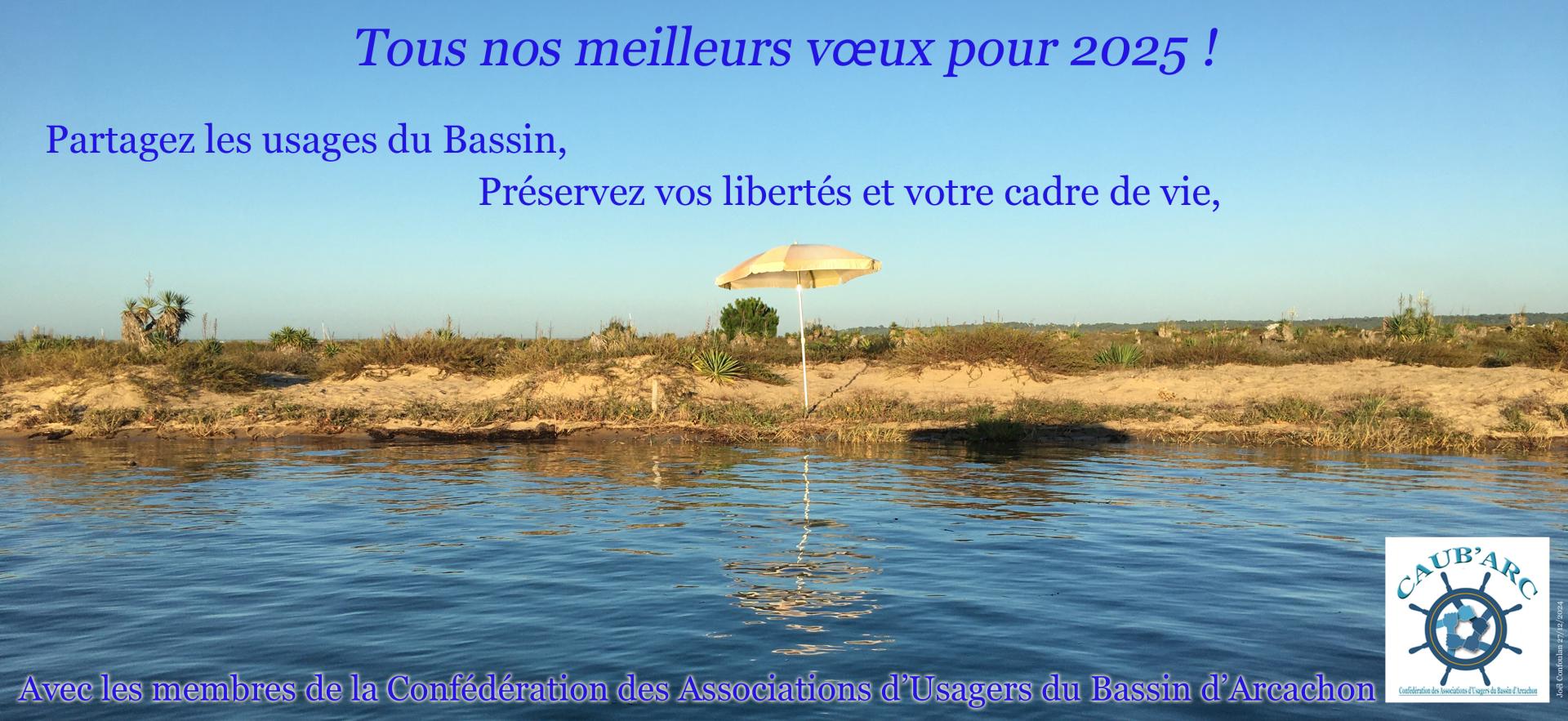 Carte voeux 2025